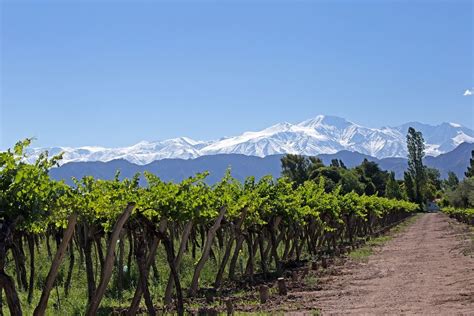 day trip to mendoza from buenos aires